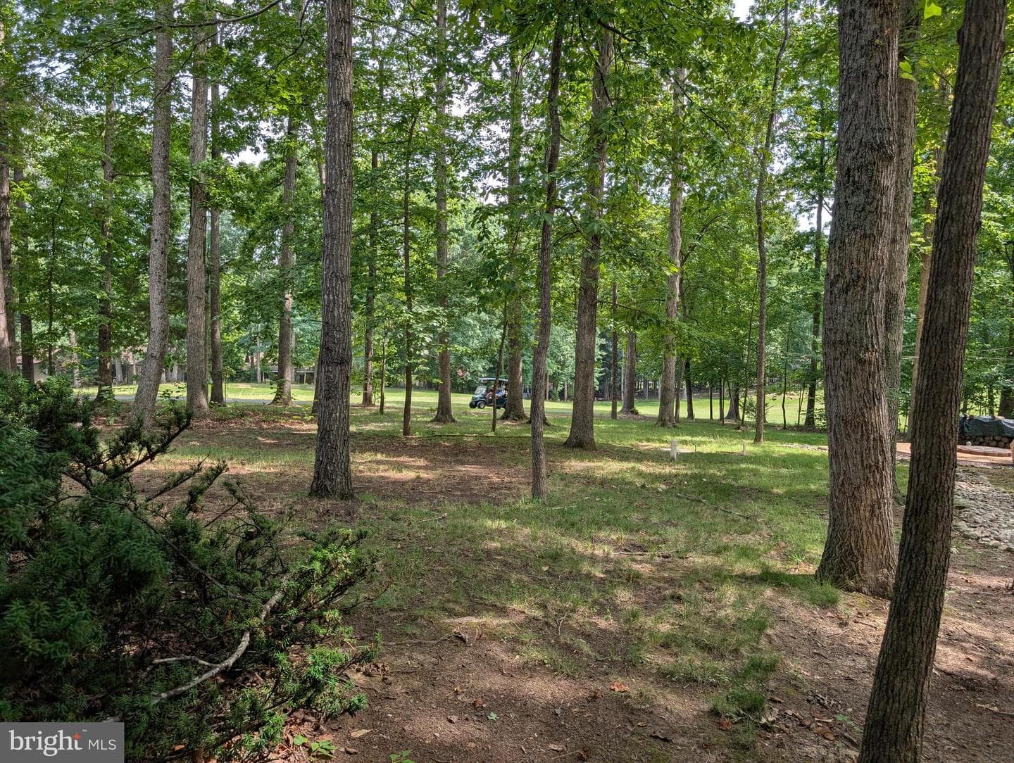 102 Marble Court photo 48