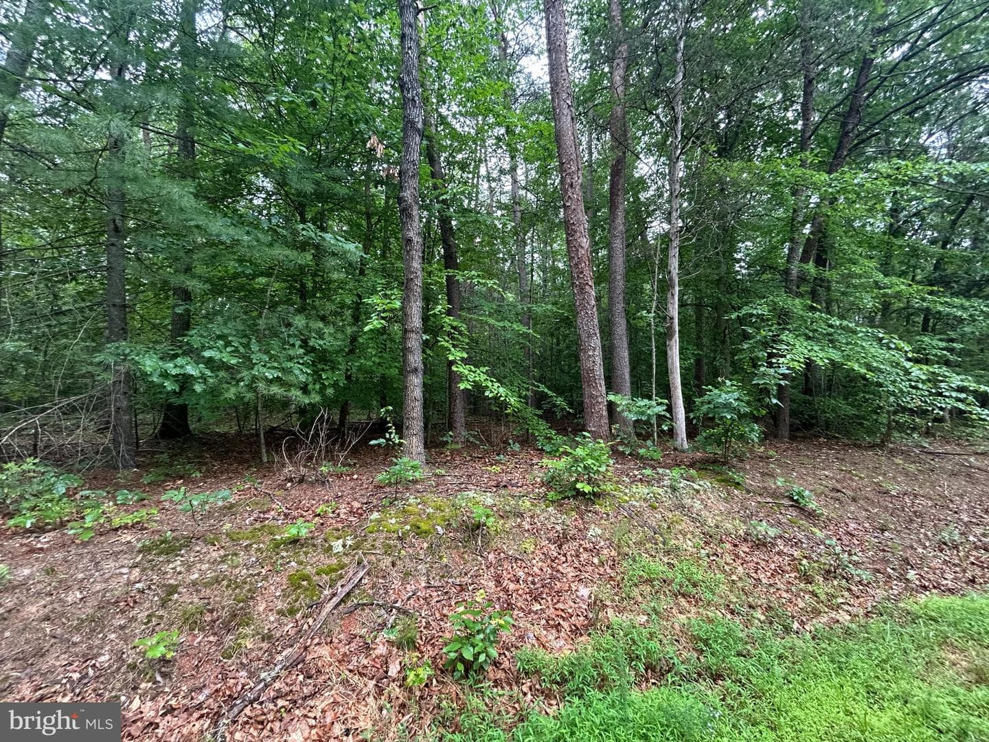 Lot 37 Harbor Drive photo 6