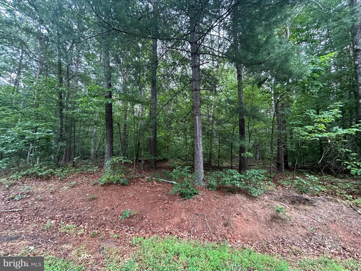 Lot 37 Harbor Drive photo 7