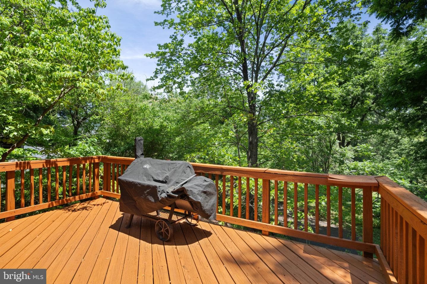 293 Caroline Street photo 34