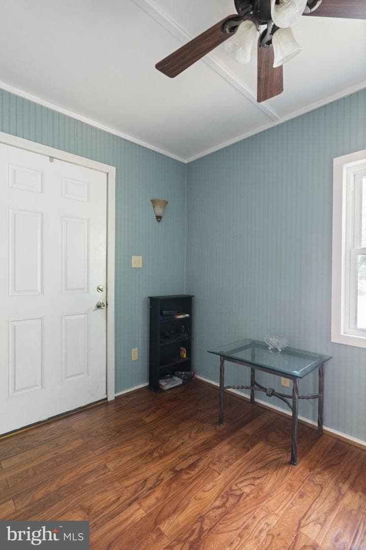 293 Caroline Street photo 5