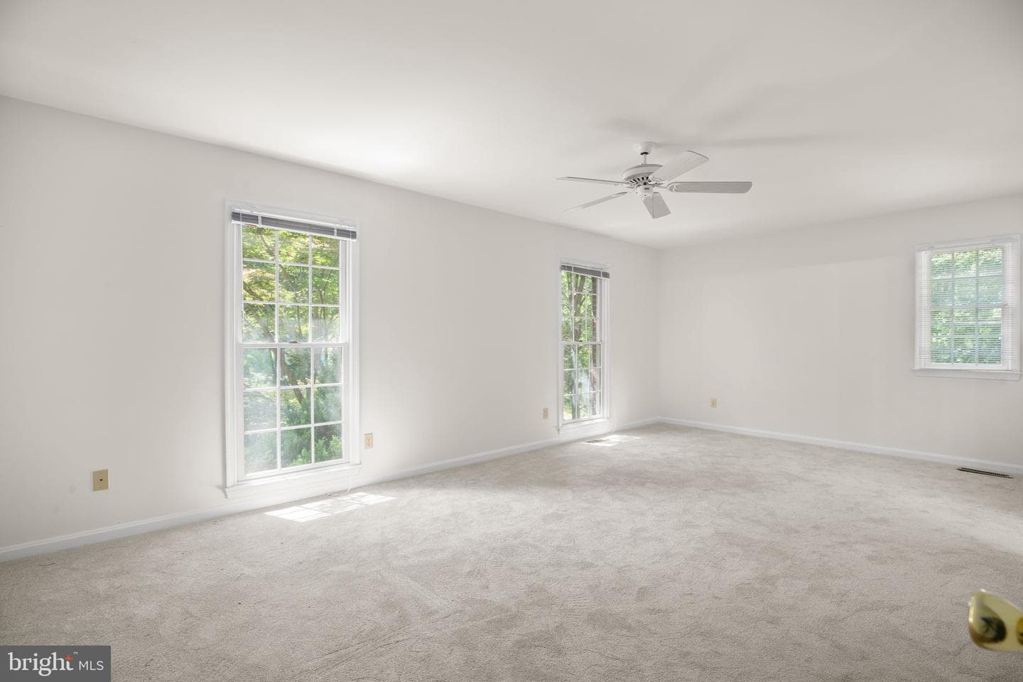 201 Green St photo 33