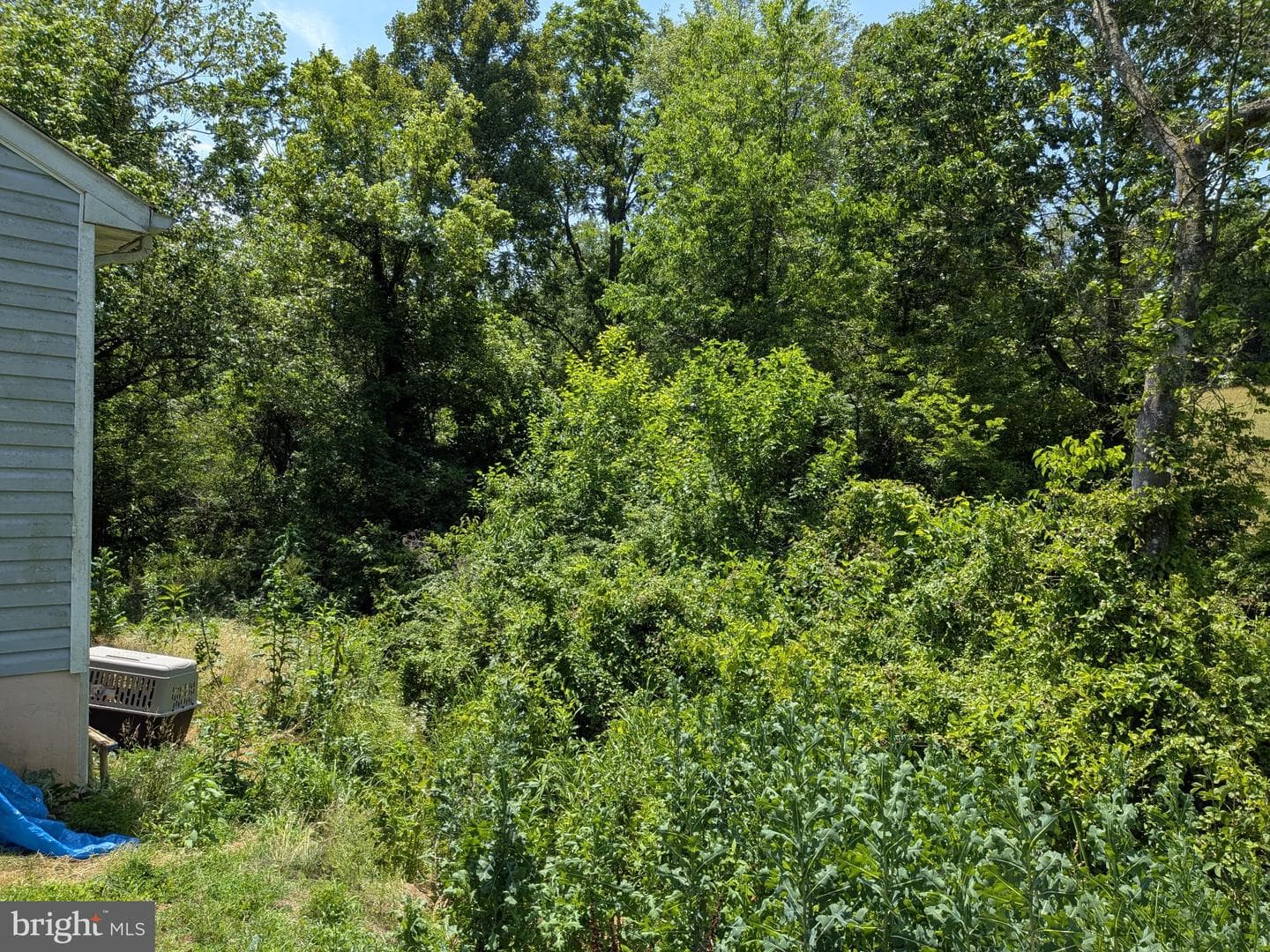 10198 Old Rapidan Road photo 24