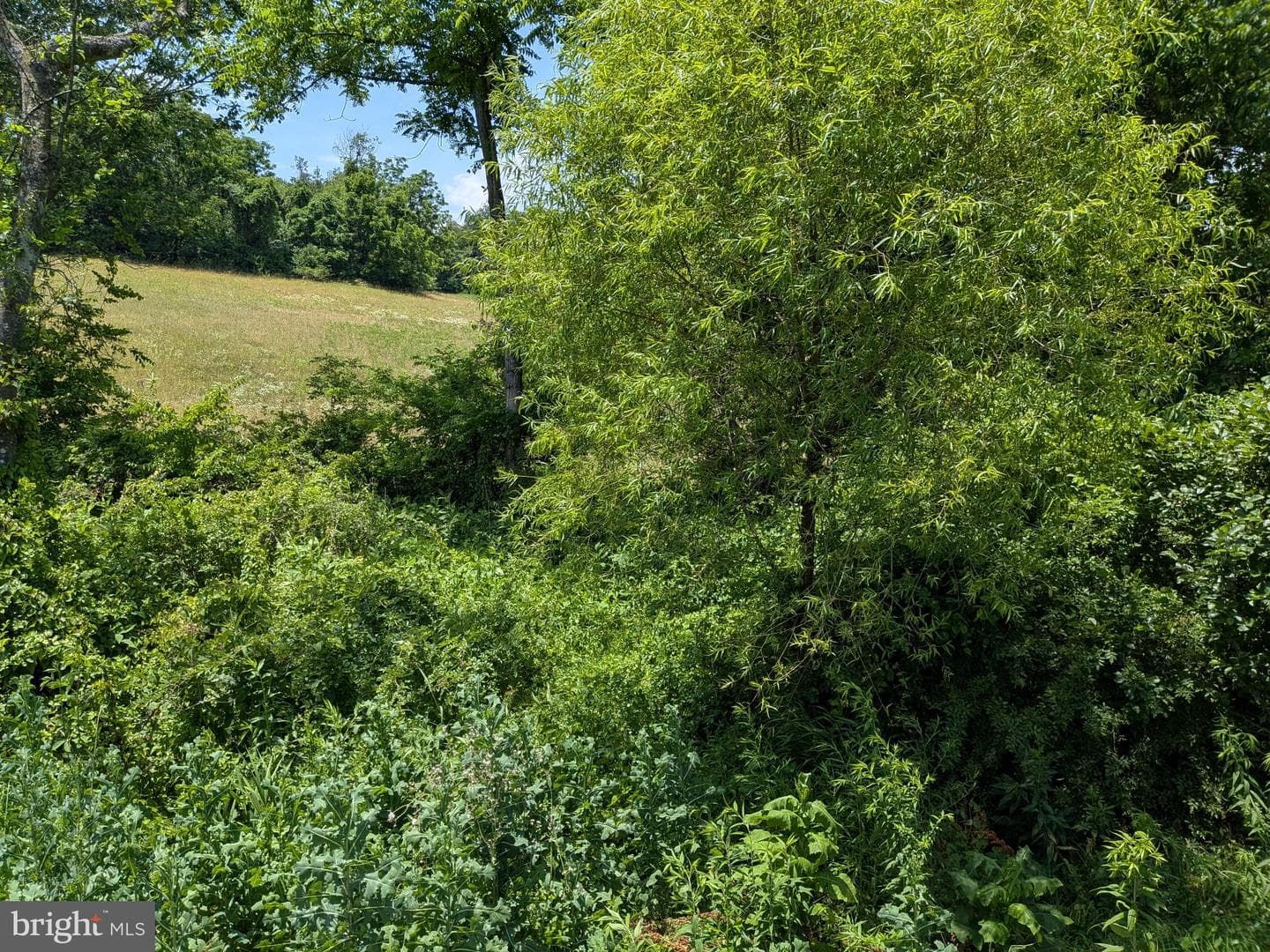 10198 Old Rapidan Road photo 25