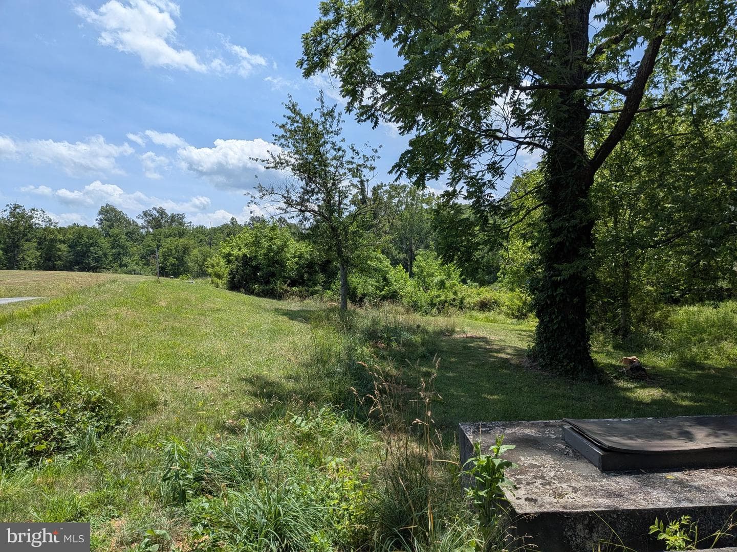 10198 Old Rapidan Road photo 27