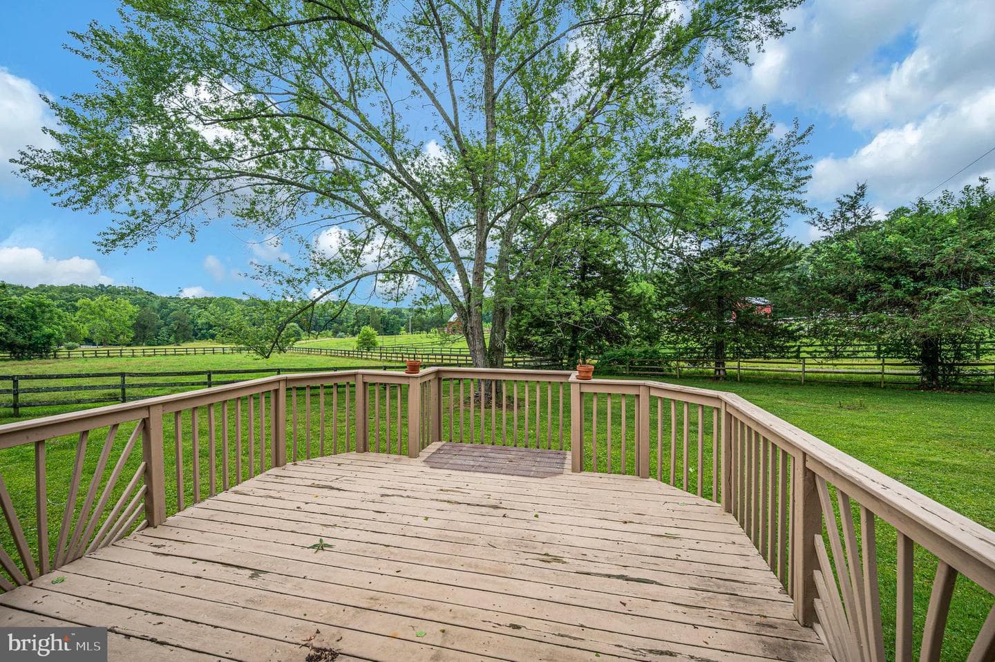 6317 Louisianna Road photo 32