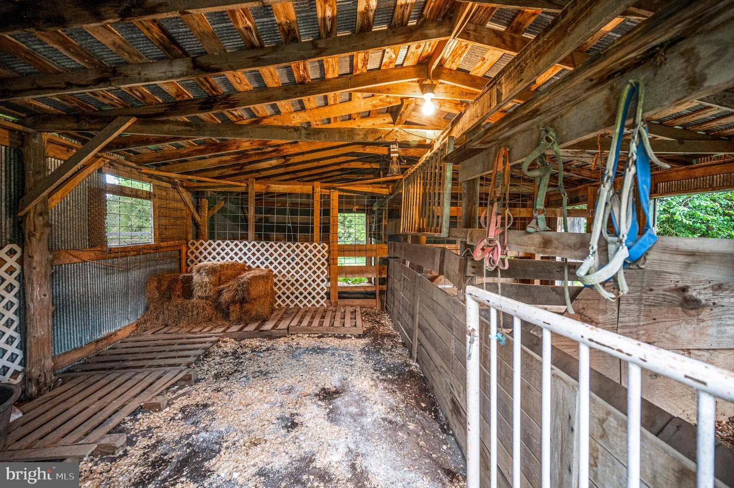 6317 Louisianna Road photo 34