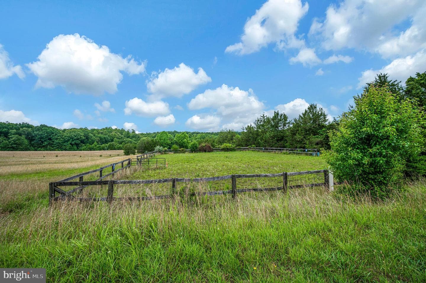 6317 Louisianna Road photo 37