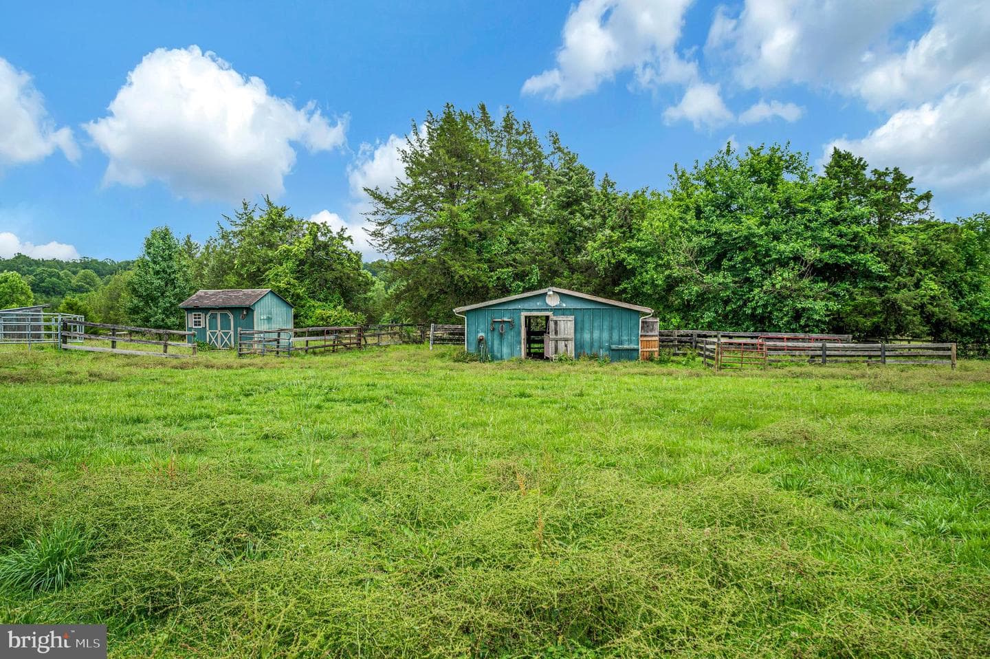 6317 Louisianna Road photo 49