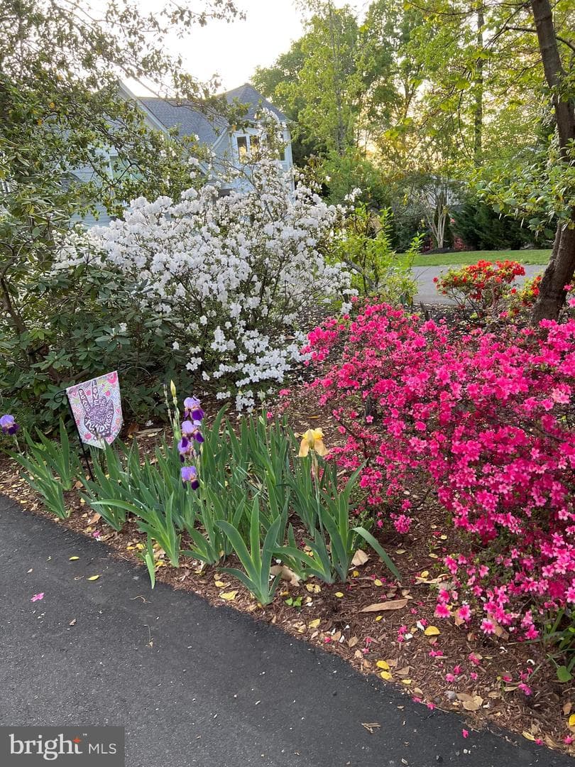 314 Birchside Circle photo 10