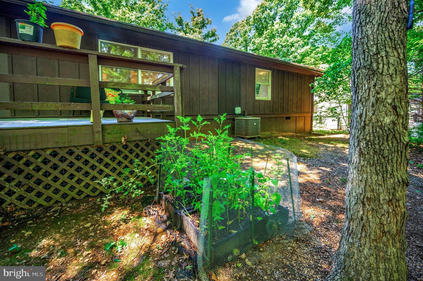 143 Jefferson Avenue photo 34