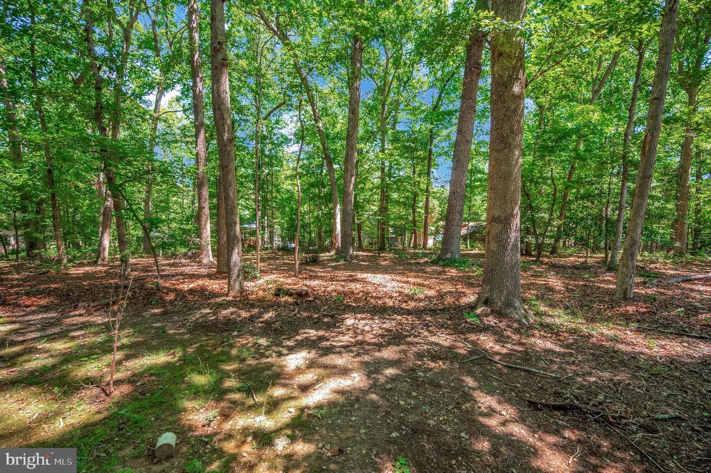 143 Jefferson Avenue photo 36