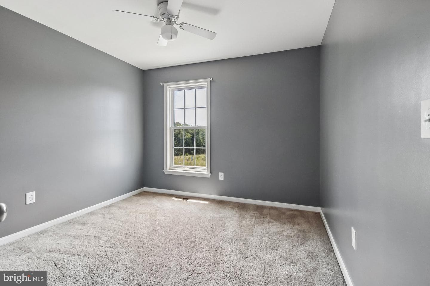 35142 Saba Place photo 22