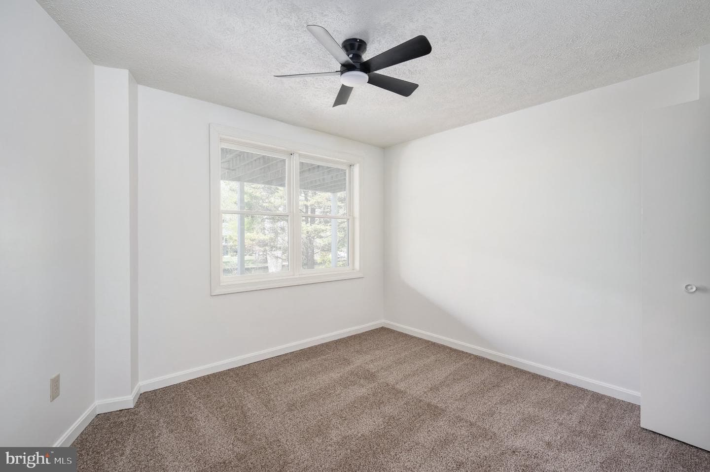 119 Larkspur Ln photo 44