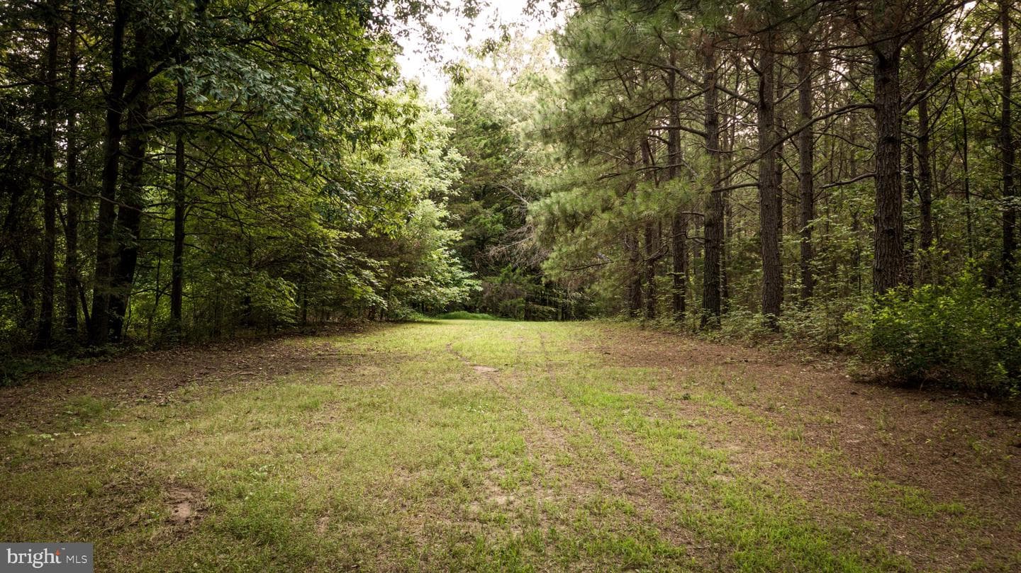 22144 Monrovia Road photo 76
