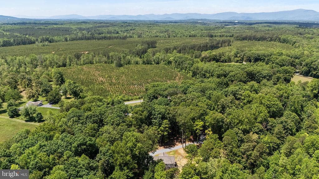 12121 Albano Road photo 41
