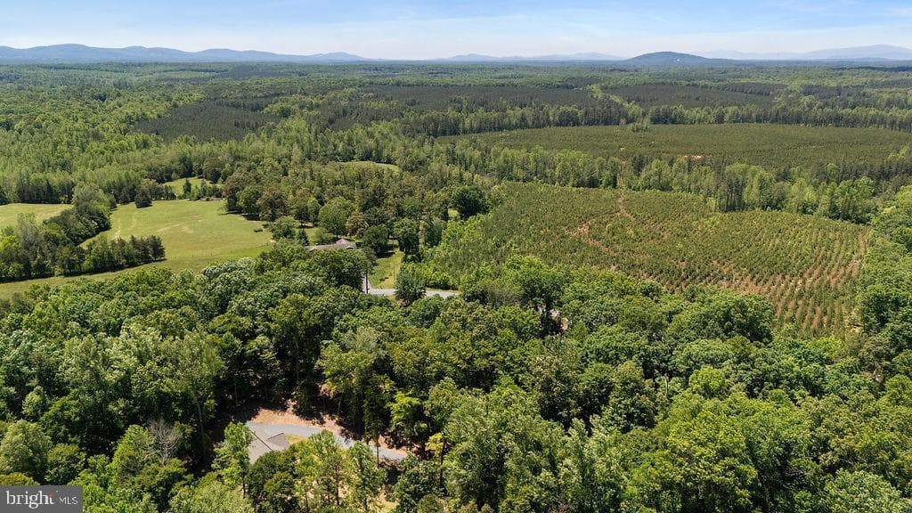 12121 Albano Road photo 56