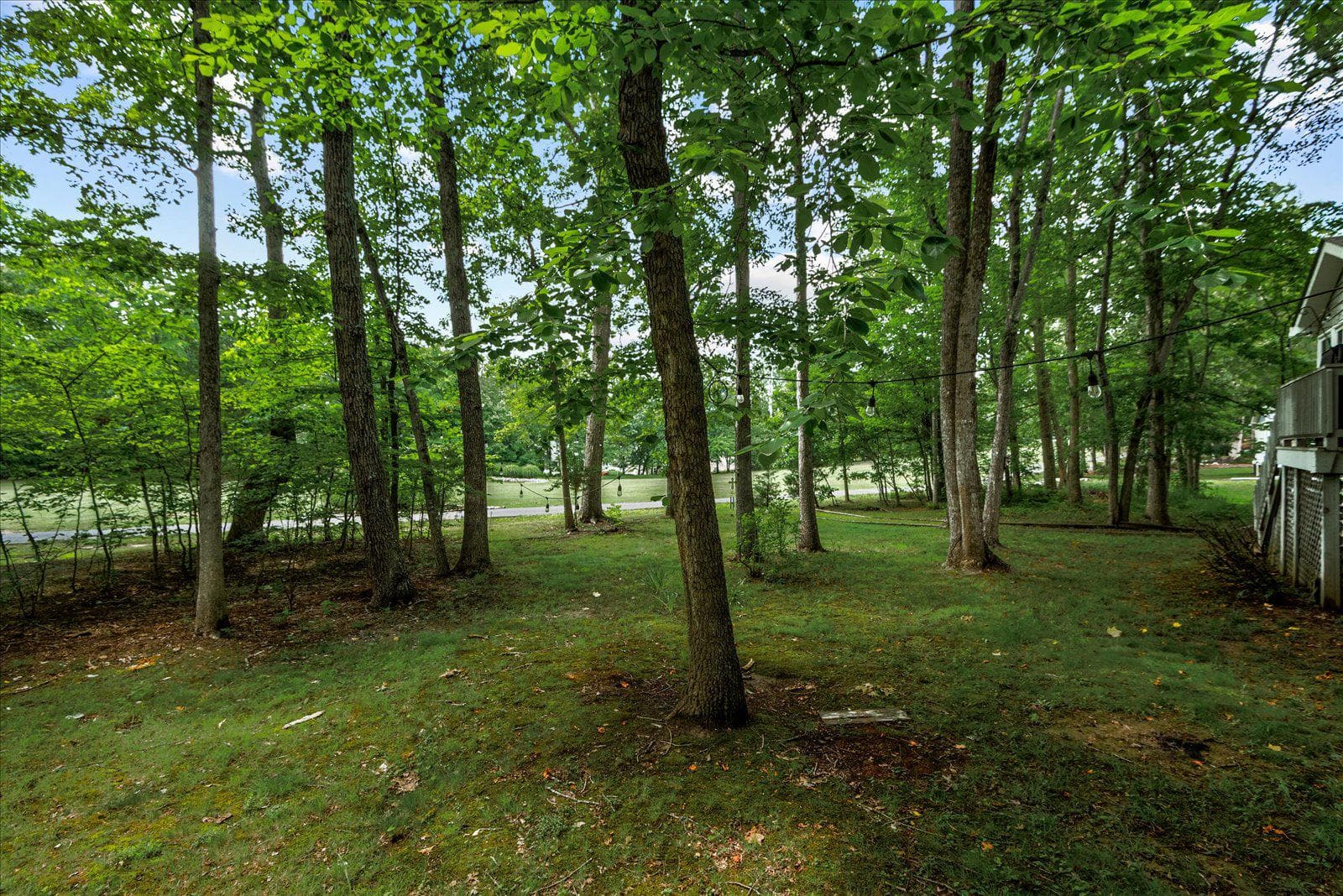 137 Eagle Court photo 39