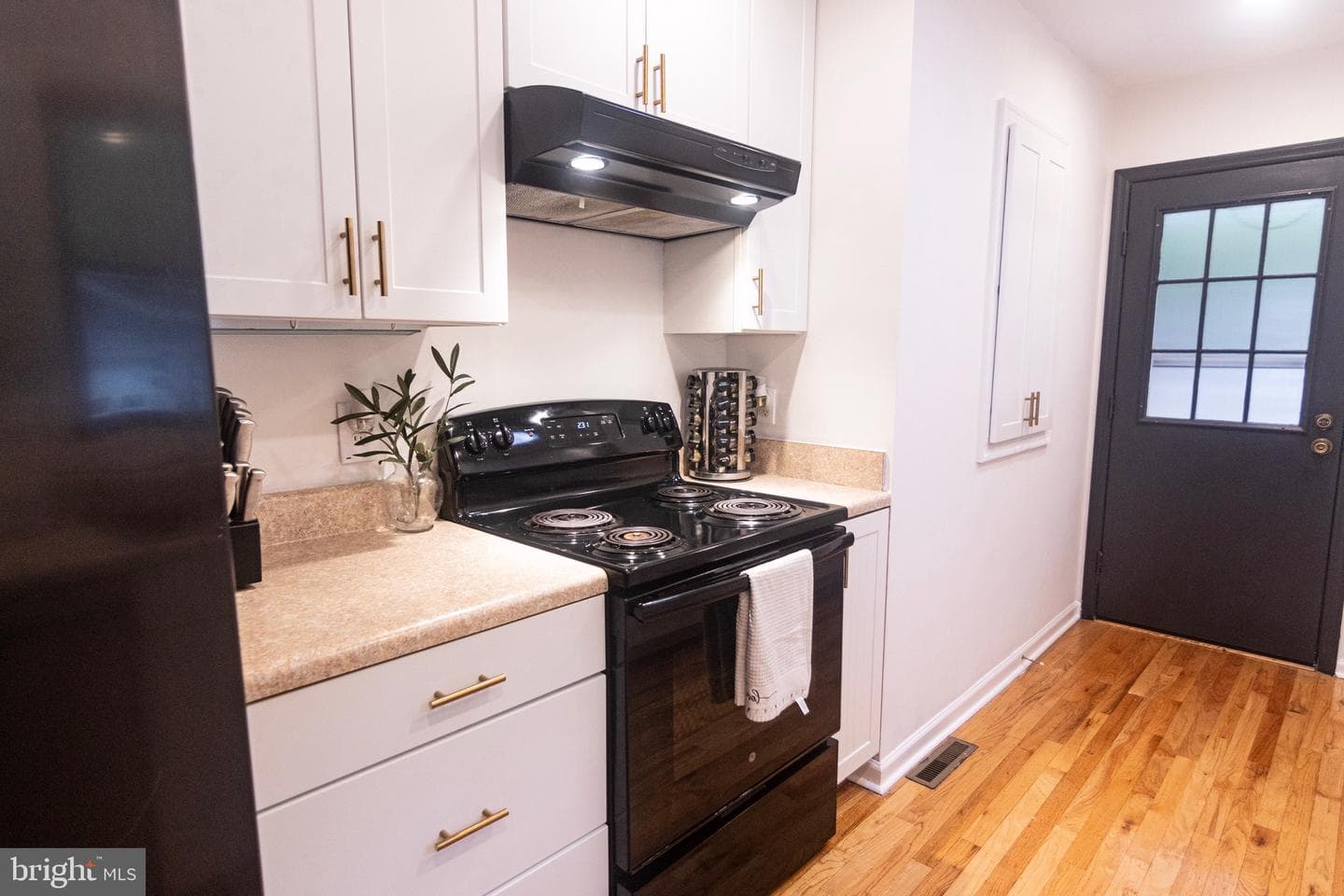 207 Madison Circle photo 17
