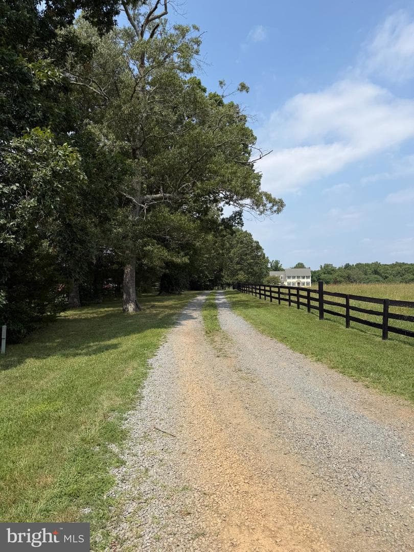 11254 Tower Road photo 4