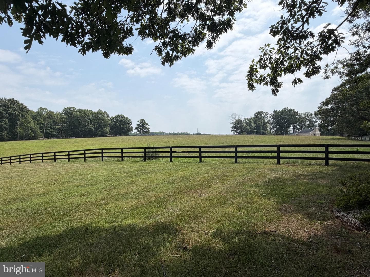 11254 Tower Road photo 5