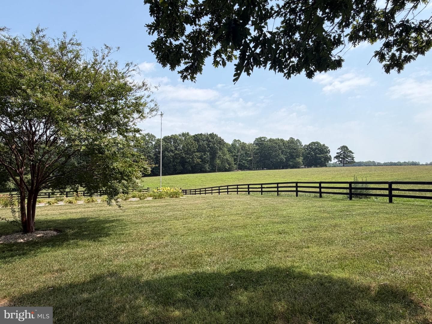 11254 Tower Road photo 6