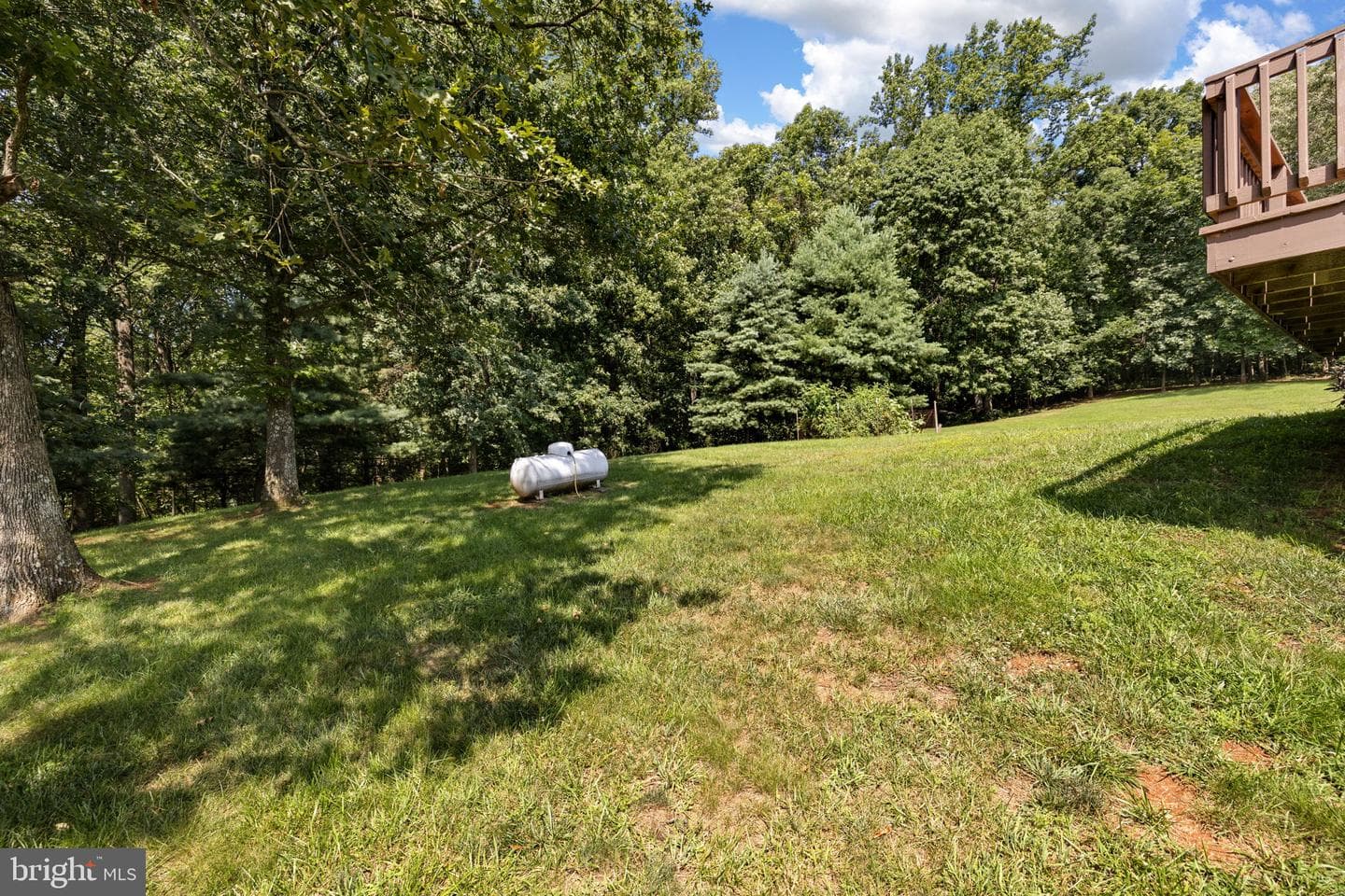 8350 Rapidan Hunt Lane photo 65