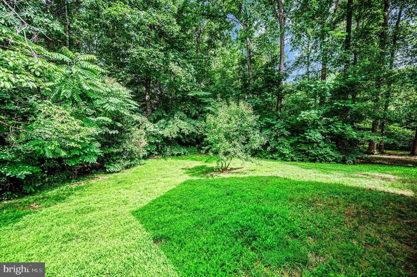 104 Confederate Drive photo 54