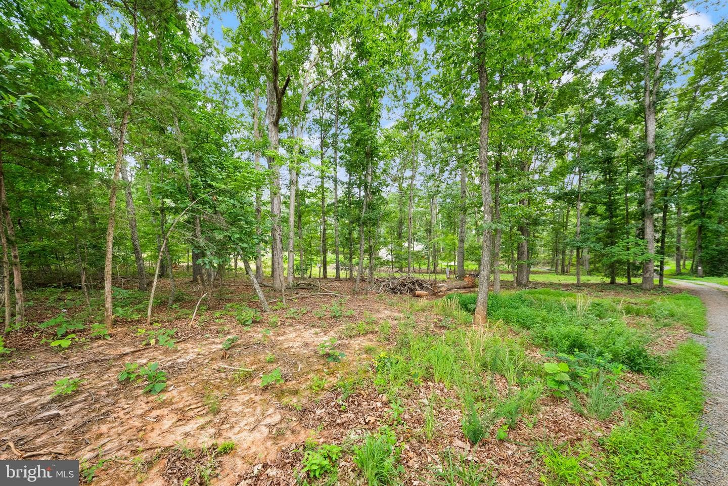 28266 Tatum Road photo 46