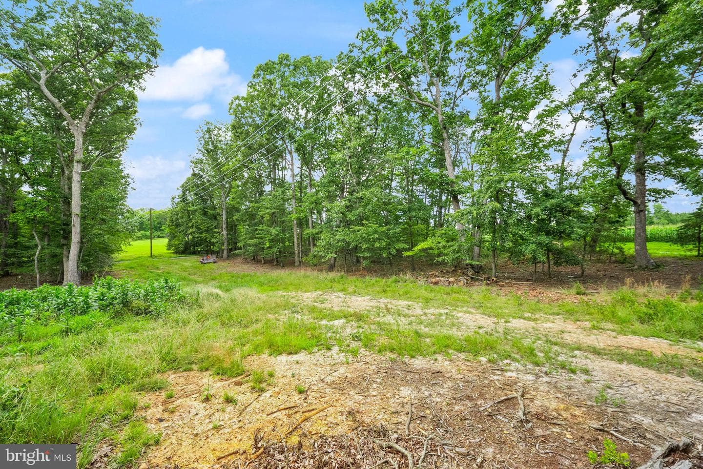 28266 Tatum Road photo 47
