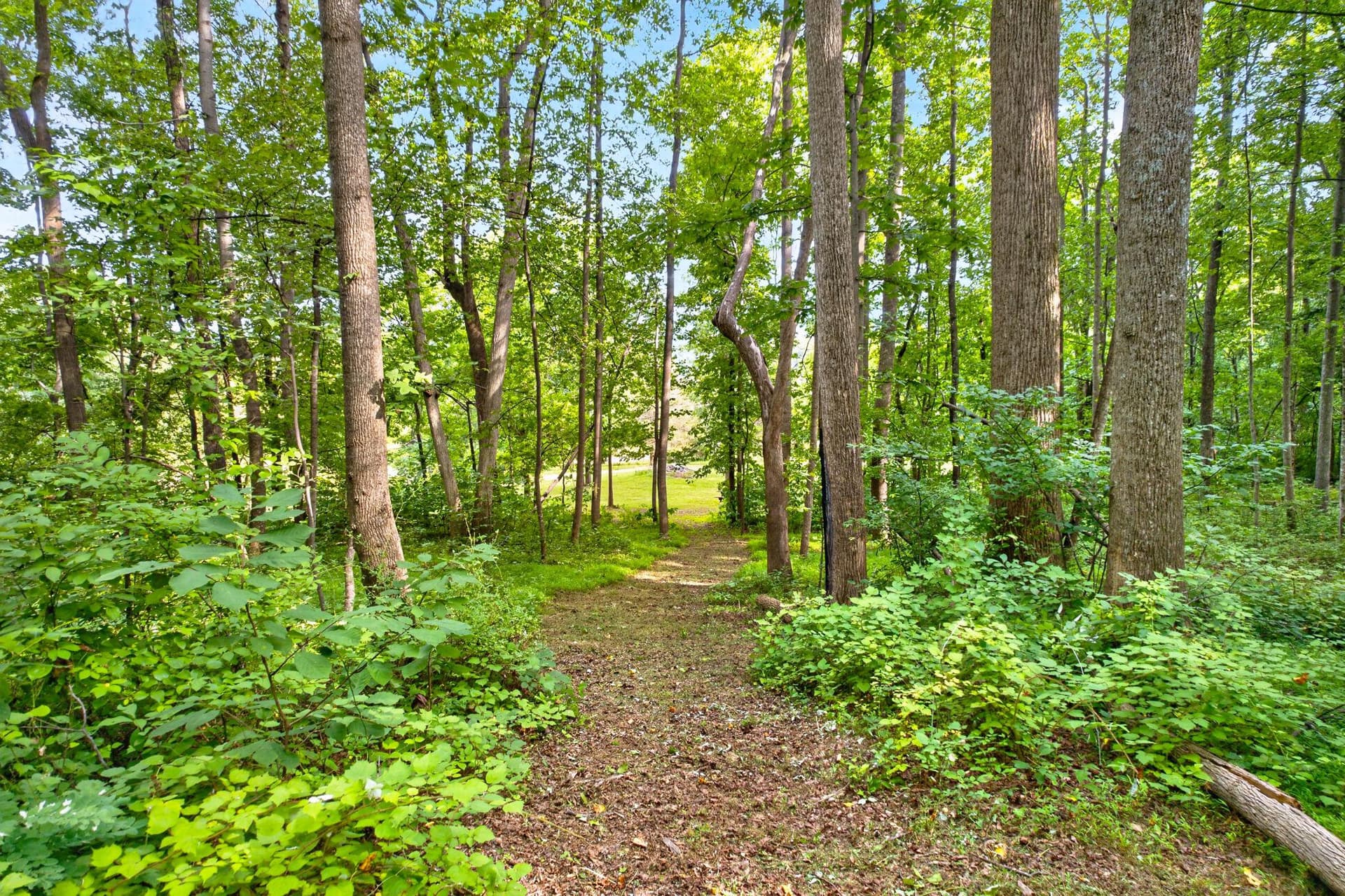 7501 Moormont Road photo 45
