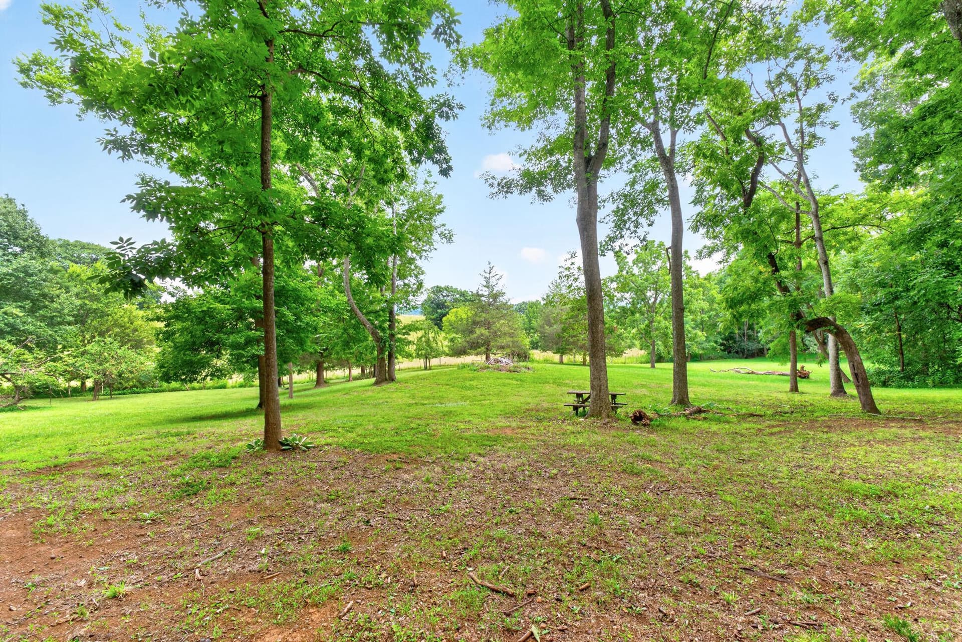 7501 Moormont Road photo 46