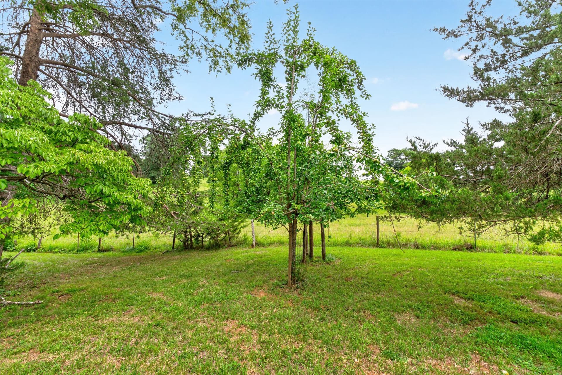 7501 Moormont Road photo 52