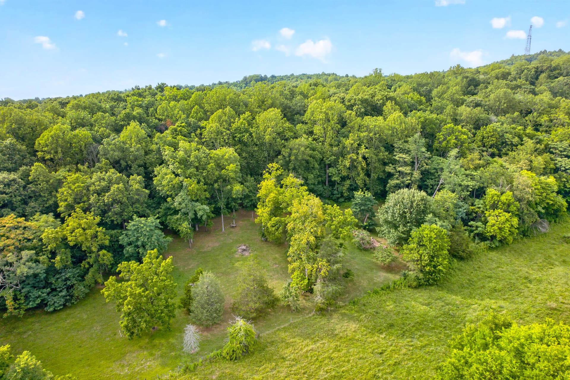 7501 Moormont Road photo 55
