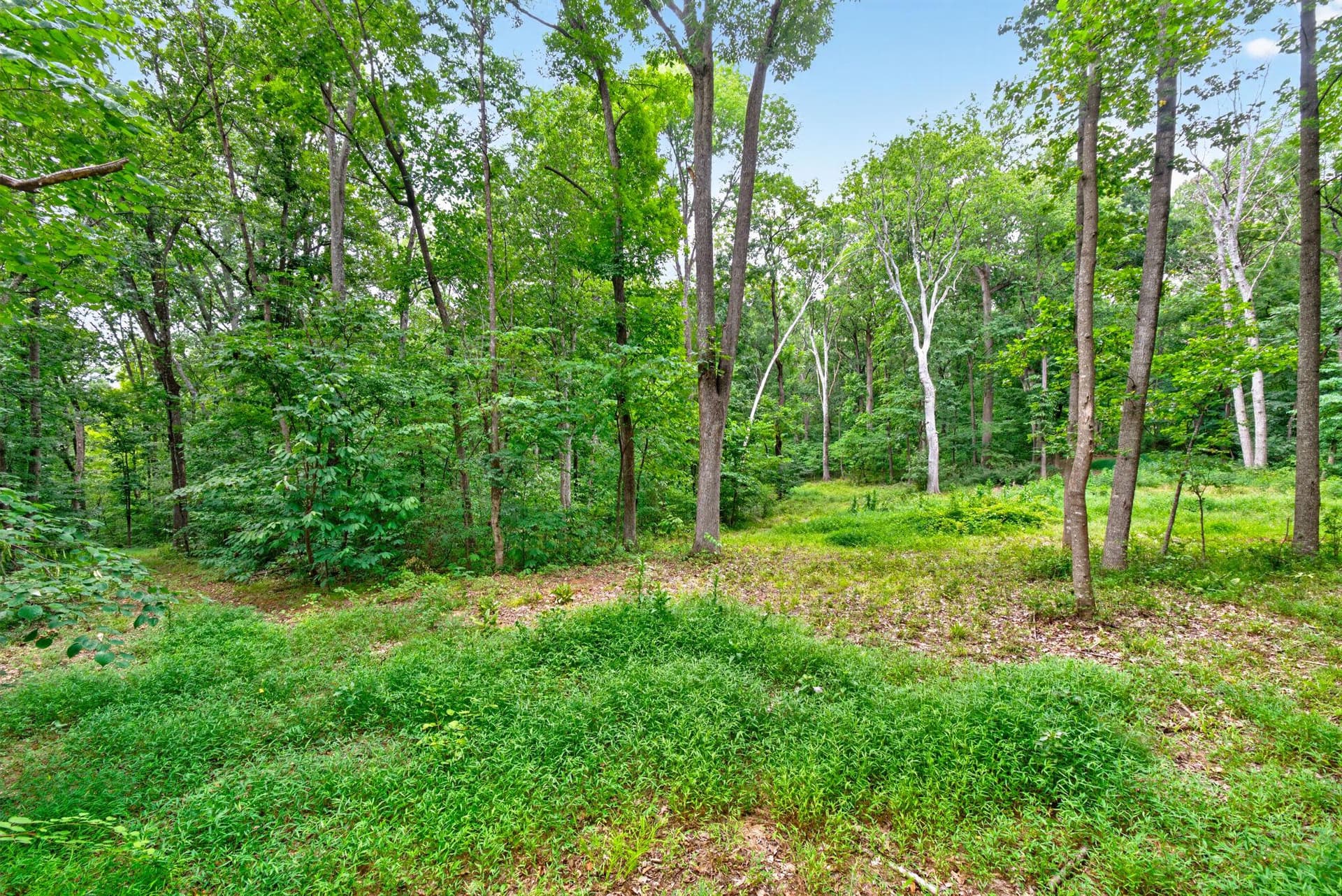 7501 Moormont Road photo 58