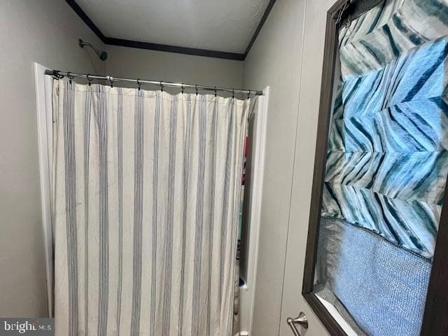 191 Park View Drive photo 12