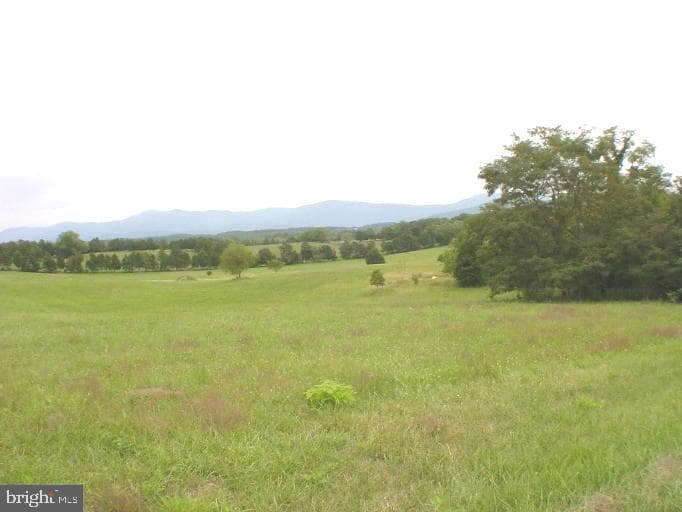991 Riverbend Road photo 5
