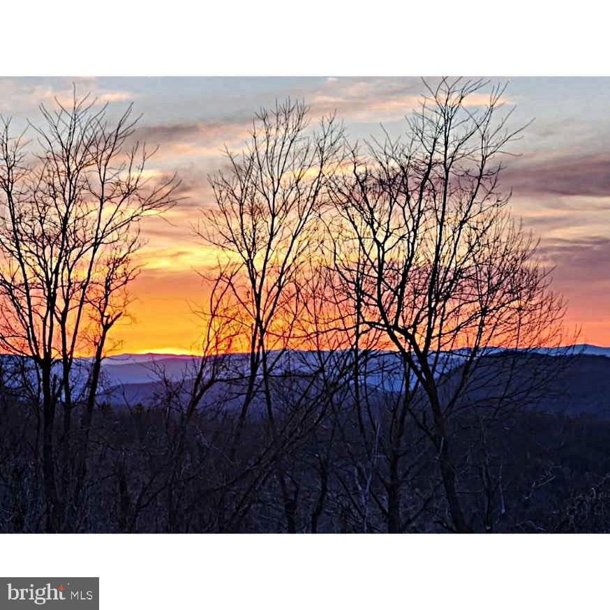 1373 Park Line Road photo 29