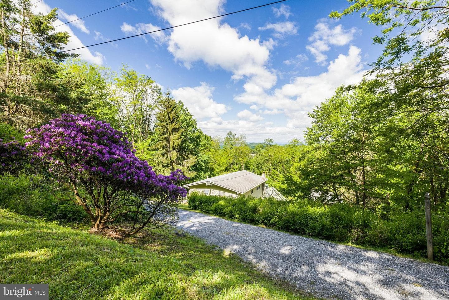 1373 Park Line Road photo 4