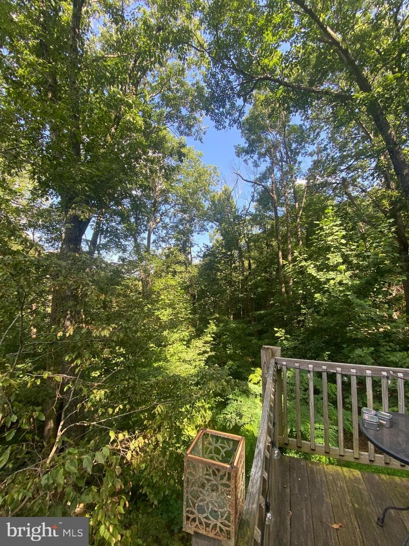568 Cliff Heights Road photo 21