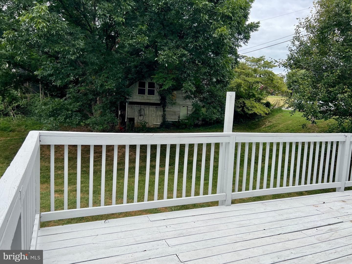 411 Shenandoah Avenue photo 54