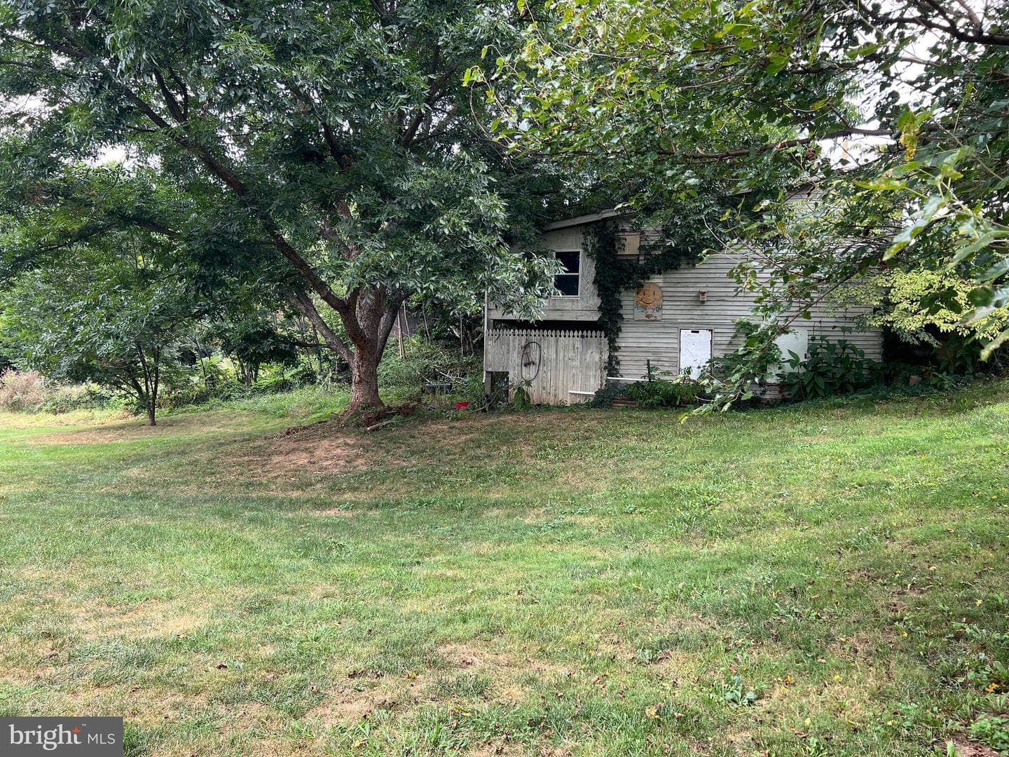 411 Shenandoah Avenue photo 61