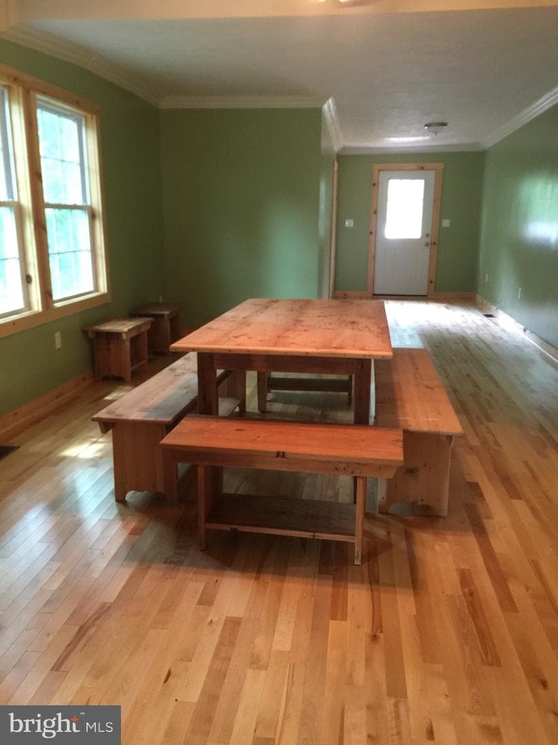 207 Riverview Drive photo 14