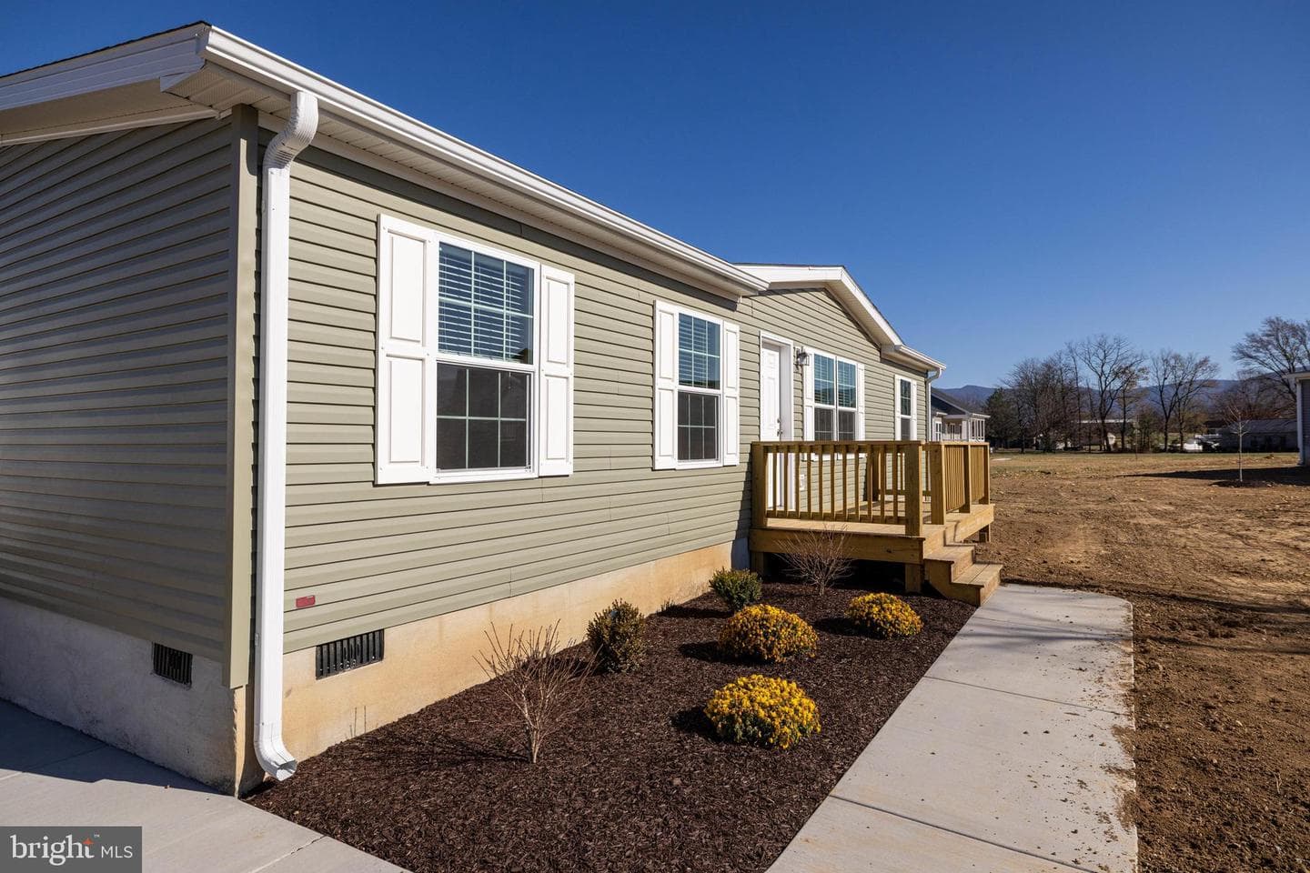 343 Park Road photo 2