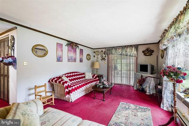 481 Eldon Yates Drive photo 19