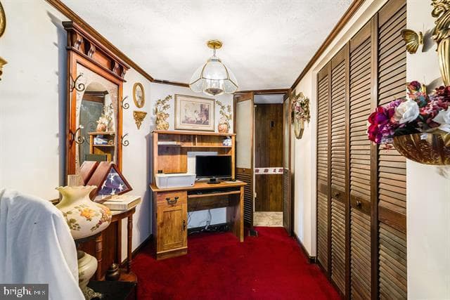 481 Eldon Yates Drive photo 21