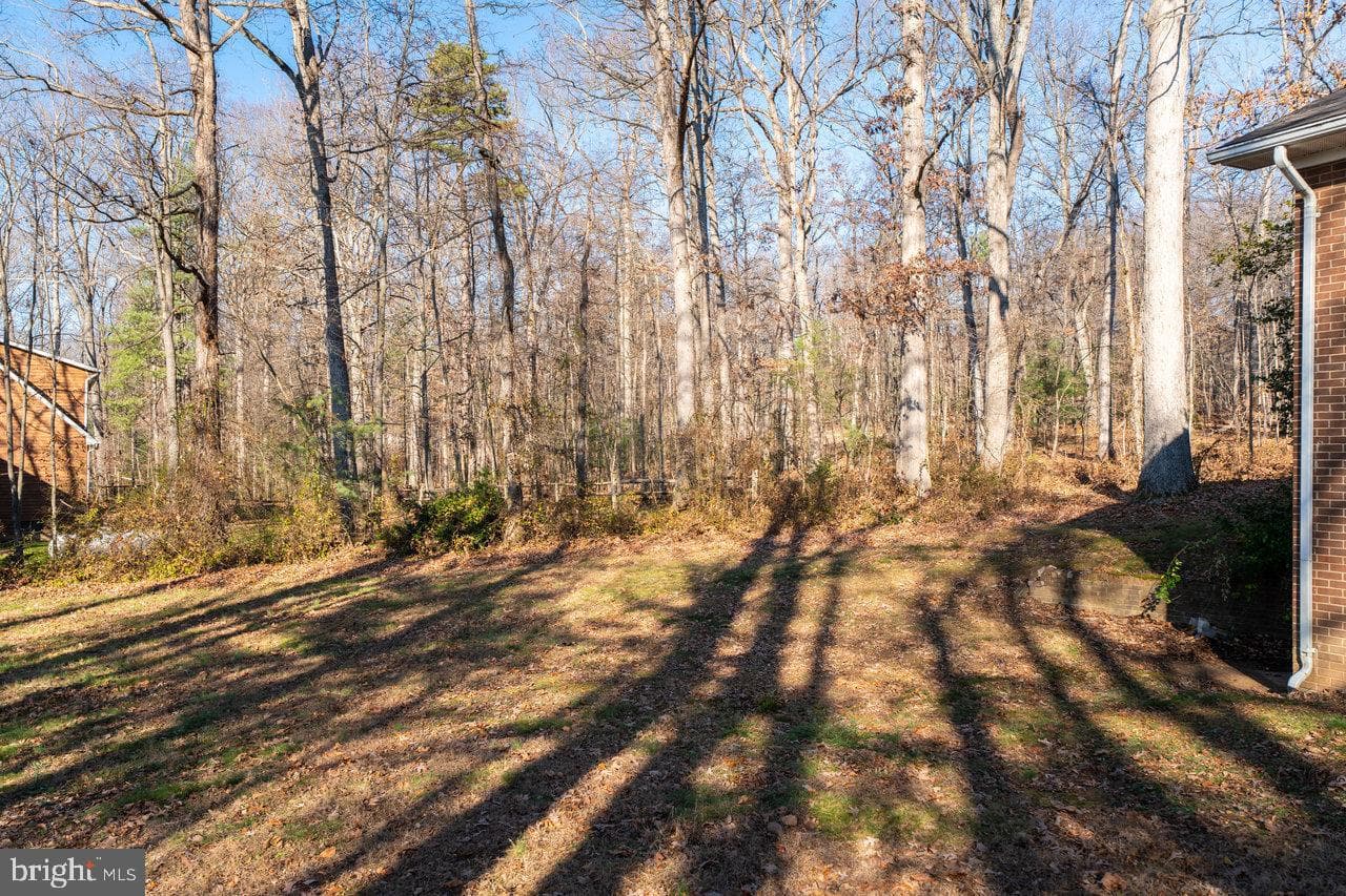 728 Clearview photo 46