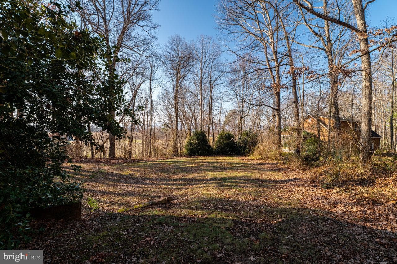 728 Clearview photo 49