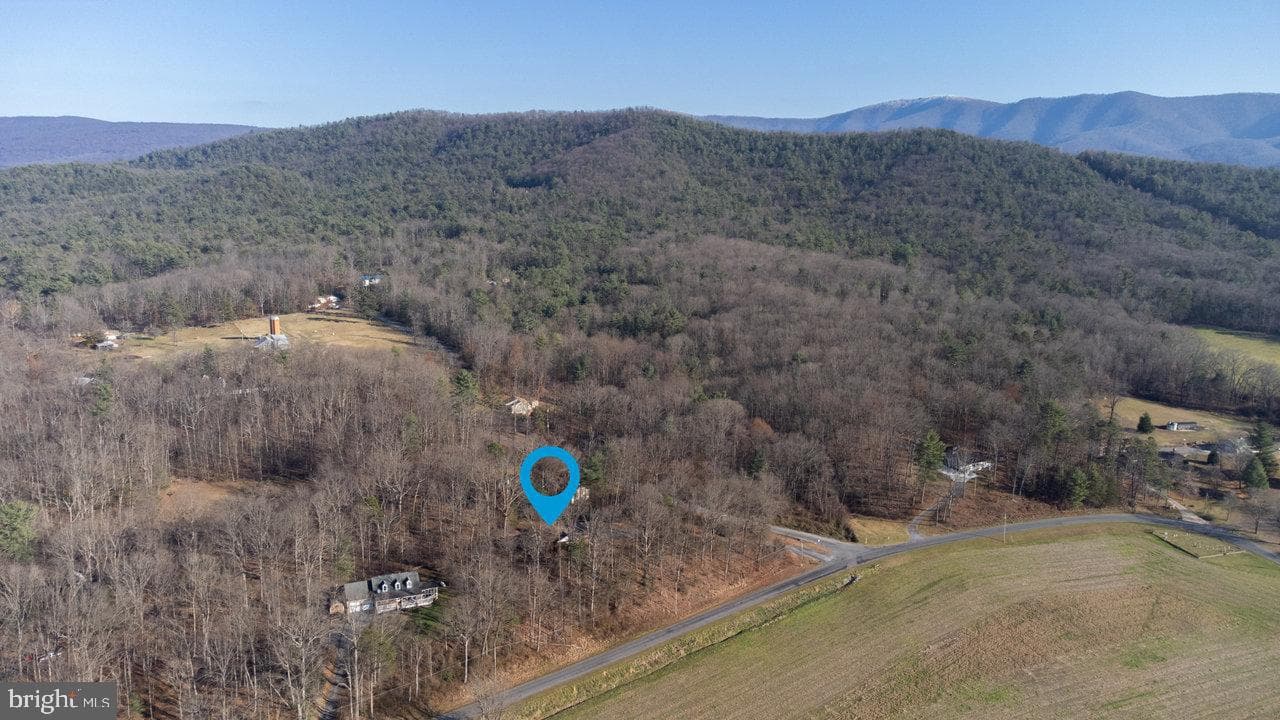728 Clearview photo 63