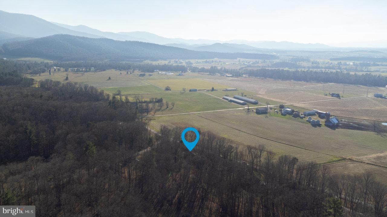 728 Clearview photo 64